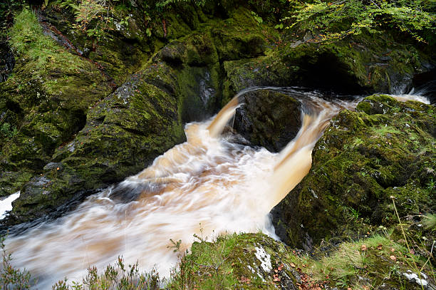 маленький шотландский водопад на реку в сельских wigtownshire - wigtownshire стоковые фото и изображения