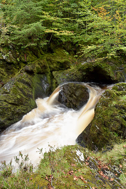 kleine schottische wasserfall auf einem fluss im ländlichen wigtownshire - wigtownshire stock-fotos und bilder