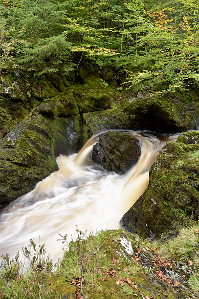 маленький шотландский водопа�д на реку в сельских wigtownshire - wigtownshire стоковые фото и изображения