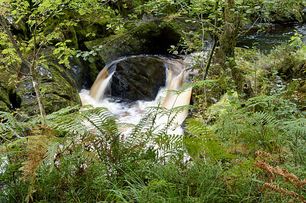 kleine schottische wasserfall auf einem fluss im ländlichen wigtownshire - wigtownshire stock-fotos und bilder