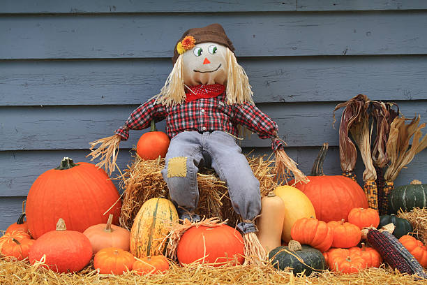 istock Harvest, Thanksgiving and Scarecrow 490126258