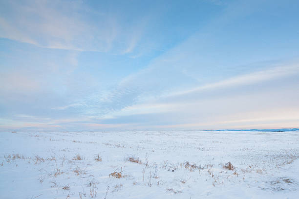 neve prairie - prairie farm winter snow - fotografias e filmes do acervo