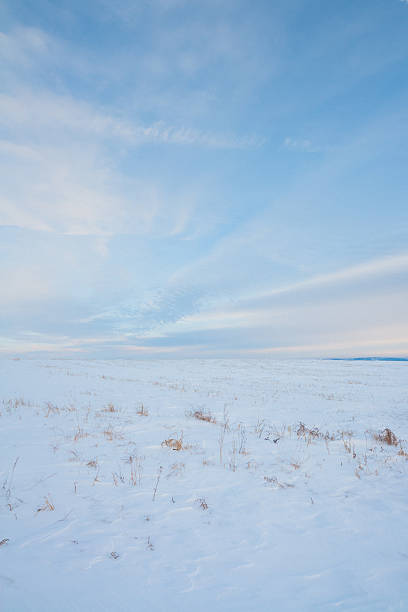 retrato de neve paisagem prairie - prairie farm winter snow - fotografias e filmes do acervo