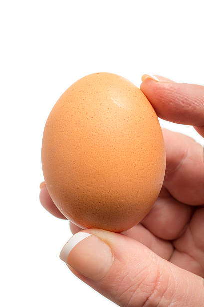 istock Close up Woman holding an egg 490127290