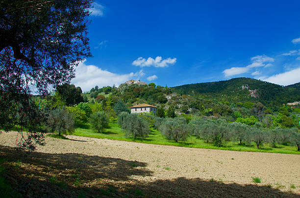 istock Countryside in Umbria, Italy 490127500