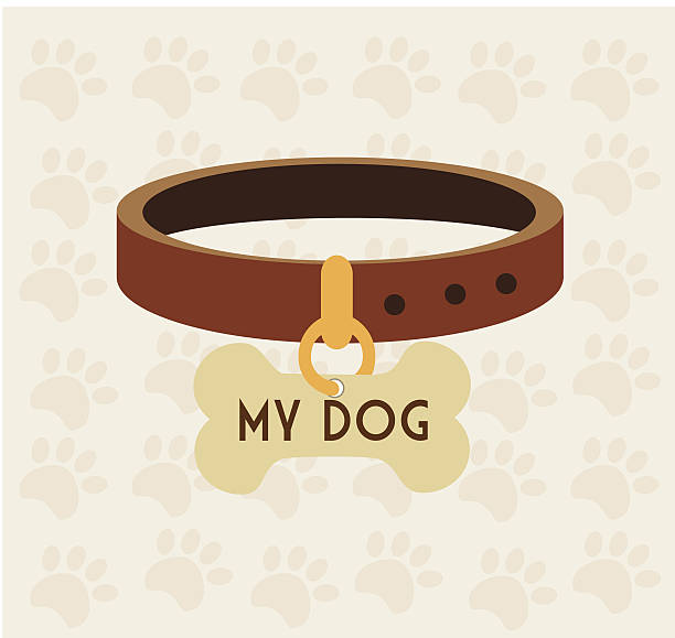 ilustraciones, imágenes clip art, dibujos animados e iconos de stock de mascot de diseño - pet collar