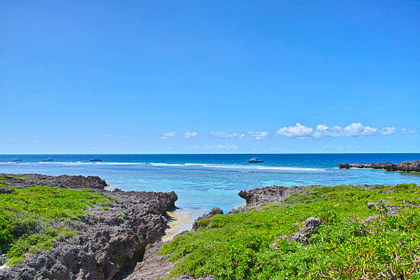 istock Landscape of Swan Cape 490129588