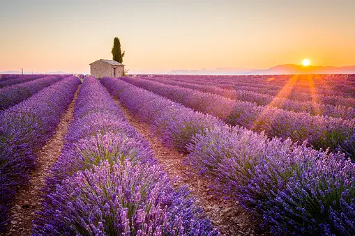 Provence France Pictures | Download Free Images on Unsplash