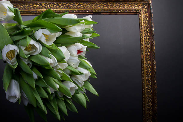 istock White tupils in photo frame over black 490129626