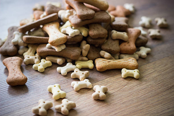 istock Pet food, dog bones 490132034