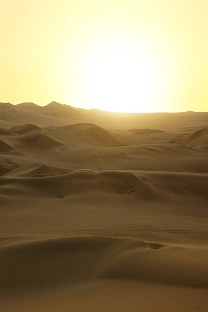 istock Huacachina Lagoon Reserved Zone 490132296
