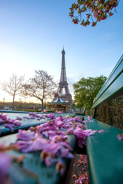 istock Eiffel Tower during spring time in Paris, france 490132979