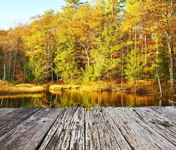 istock Pond in White Mountain National Forest, New Hampshire 490133090