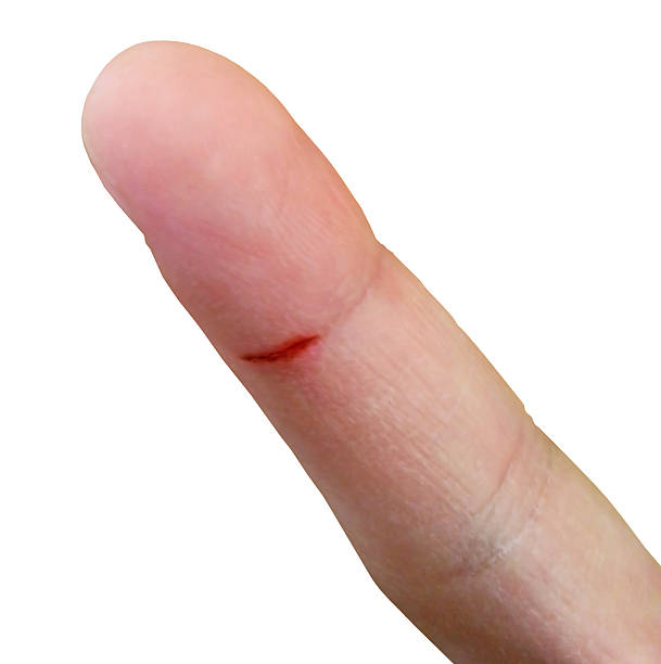 Little Cut Little Cut