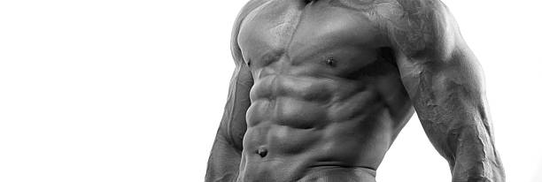 istock Close up on perfect abs. Strong bodybuilder with six pack 490135225