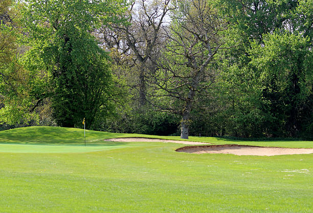 istock Golf course with sandy bunker trap, trees and putting green 490136345