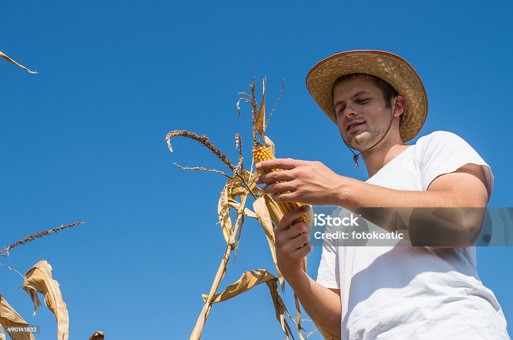 Agriculturist - Foto de stock de 2015 royalty-free