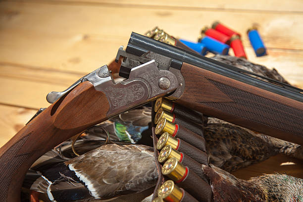 istock Gun, hunting, a dead duck, and ammunition 490172964