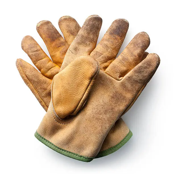 Work gloves.