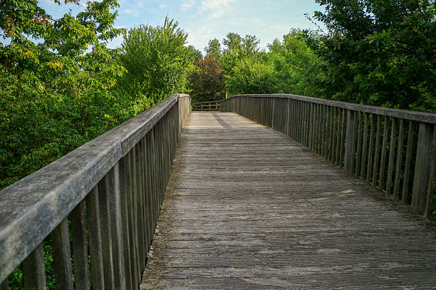 istock traditional wooden bridge over railway at germersheim germany 490175772