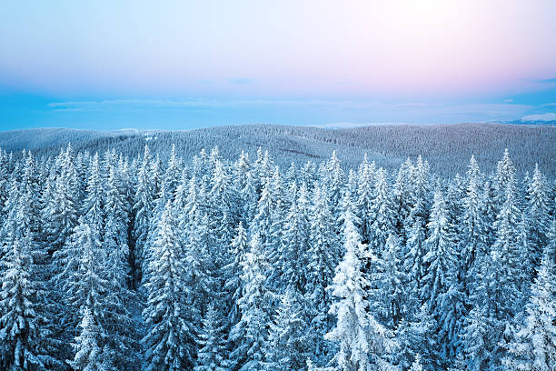 istock Sunrise Above The Winter Forest 490178178