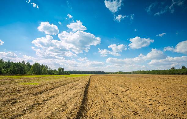 istock Beautiful plowed field under cloudy sky. 490178422