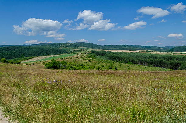 istock Background of sky, clouds, field  and forest, Plana mountain 490178522