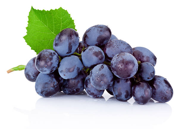 istock Fresh wet blue grapes with green leaf isolated on white 490179452