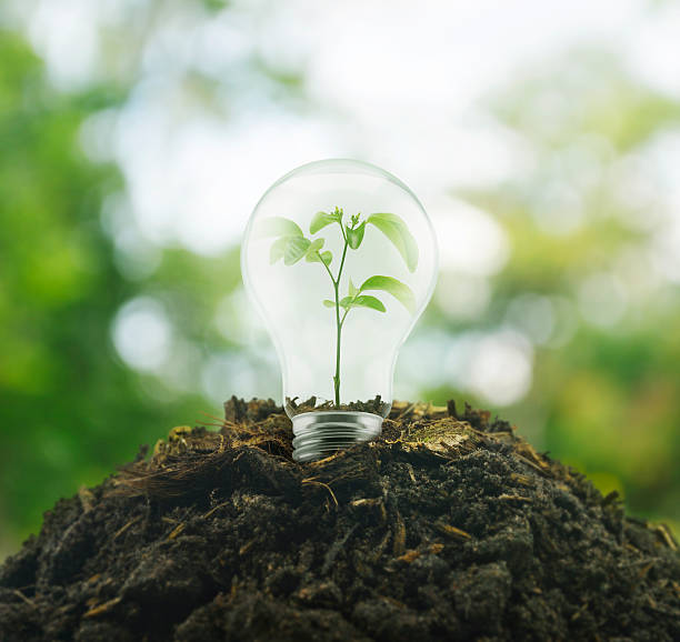 istock Light Bulb with small plant on soil, Eco concept 490179542