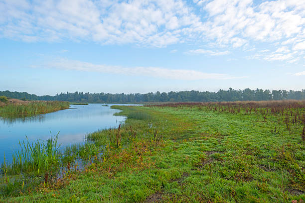 istock Shore of a lake under a blue cloudy sky 490180586