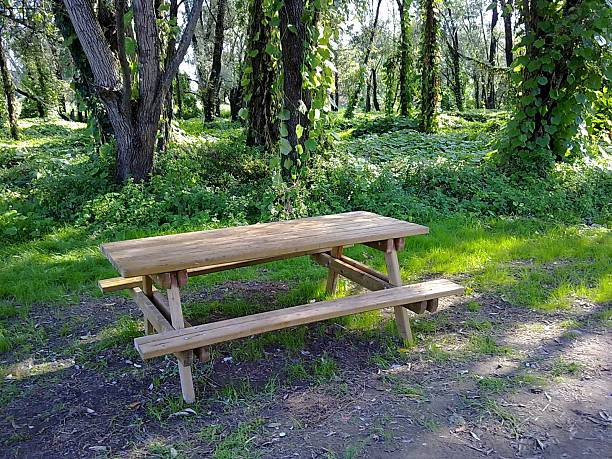 istock Woods wooden bench 490180956