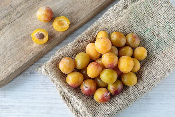 Photo of Mirabelle plums