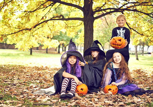 Cheerful kids wearing Halloween costumes posing in autumn park