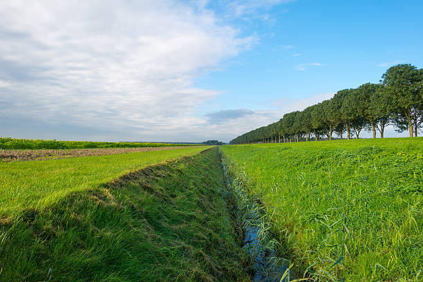 istock Ditch along a sunny road in autumn 490182192