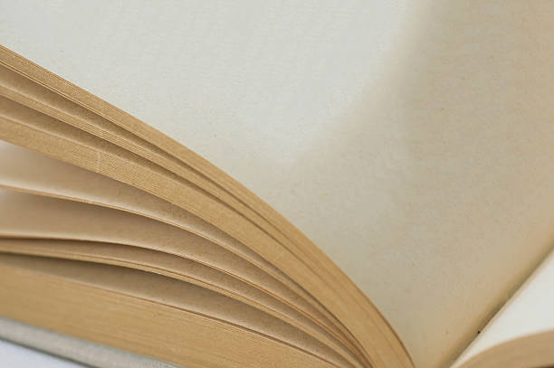 istock Book open to a blank page close up 490184934