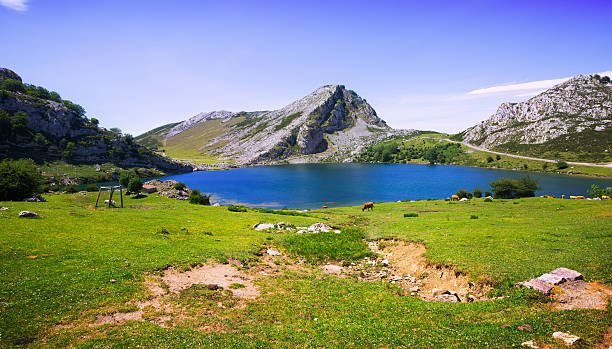 istock mountains landscape with lake and pasture 490185138