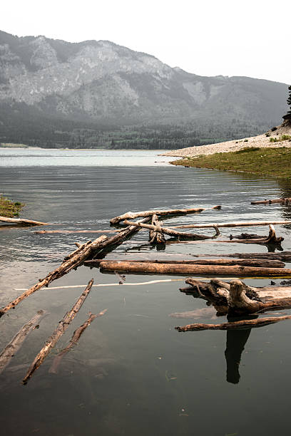 istock barrier lake in Banff National Park - Canada 490186912