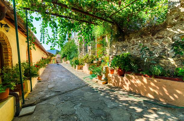 istock Panayia Pantanassa monastery, Mystras, Greece 490188262