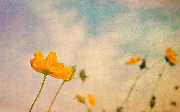 istock Vintage yellow Flowers on old paper. 490201233