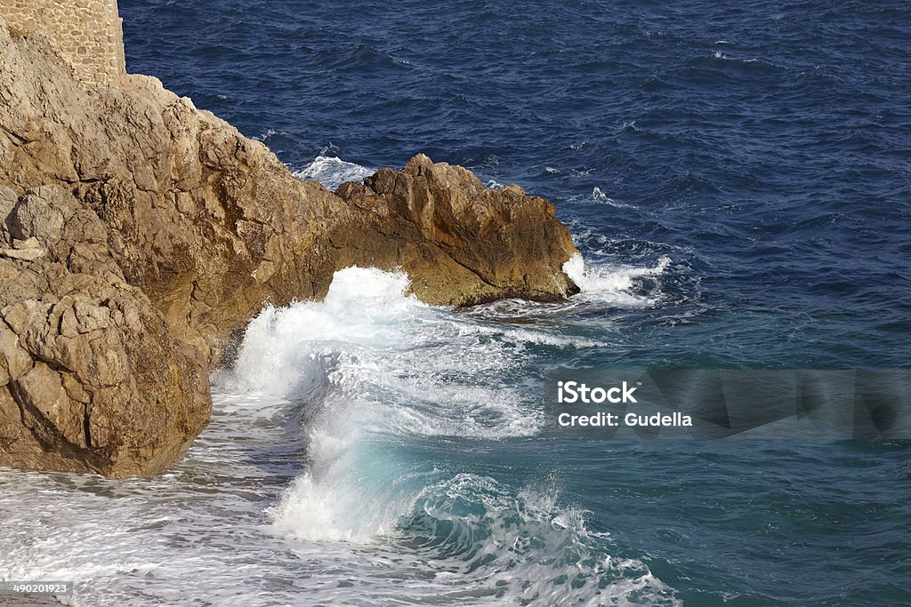 Waves Waves hitting the rocky shore Animals In The Wild Stock Photo
