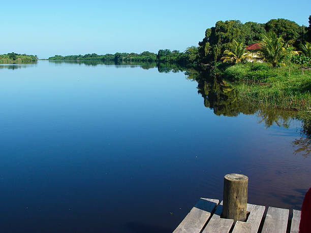 istock Boat dock and Lagoon Reflection in Estuary Rio Salado Honduras 490202155