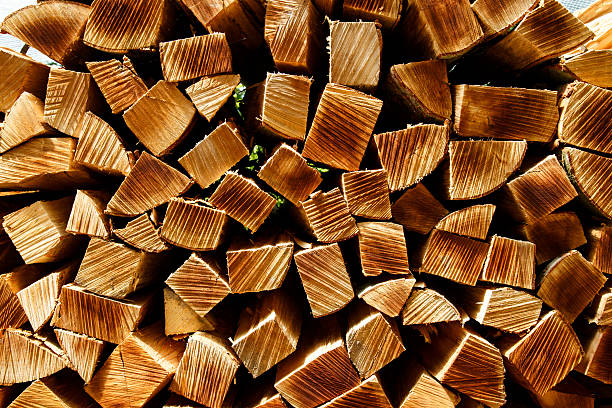 Log Pile Near Basel, Switzerland - 4 May 2014 - Closeup photo of a log pile close to Basel on a nice sunday hike. fuelwood stock pictures, royalty-free photos & images