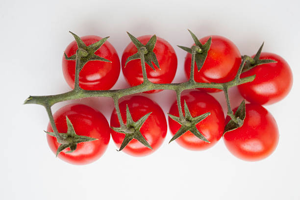 istock photo of very fresh tomatoes presented on white background 490204291