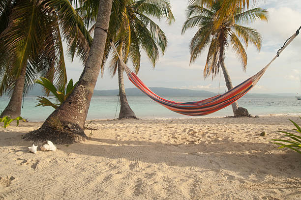 istock Hammock between palm trees in Kuna Yala, Panama 490206505