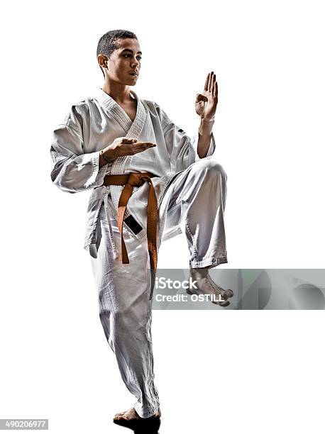 Karate Teenagers Kid Stock Photo - Download Image Now - Child, Karate, Adult