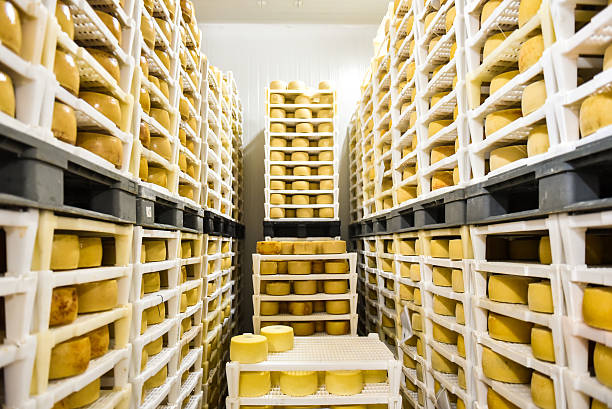 istock Cheese factory warehouse with shelves stacked with cheese 490211696