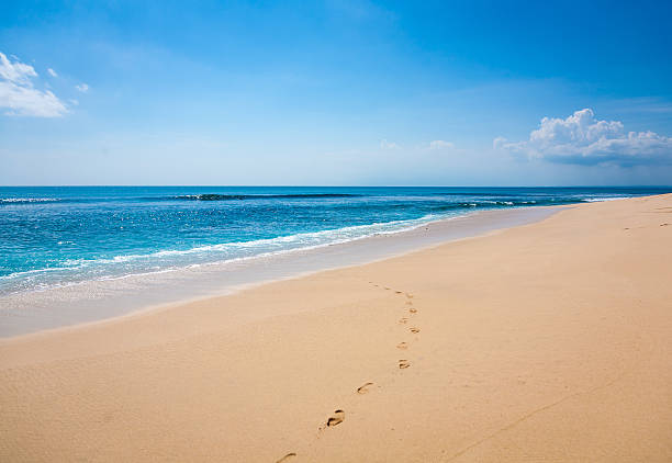 istock Beautiful surfing tropical sand beach 490213984
