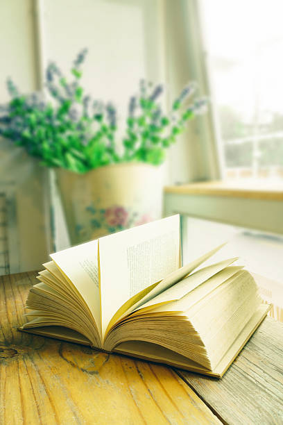 istock Vintage book on wooden table beside window 490217134