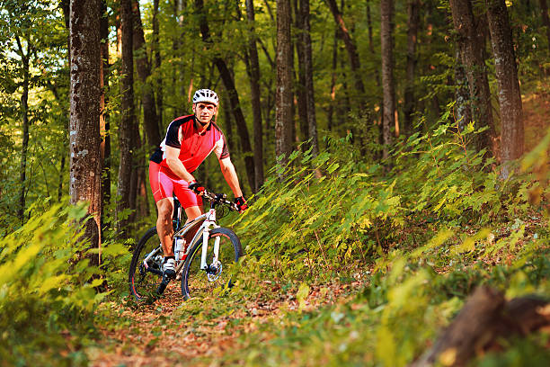 istock Biker riding on bicycle in wood 490217440