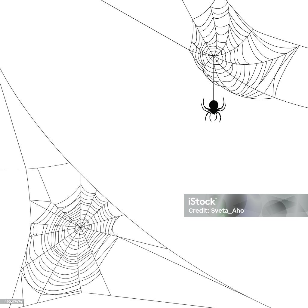 two spider webs Background with two spider webs isolated on white Spider Web stock vector